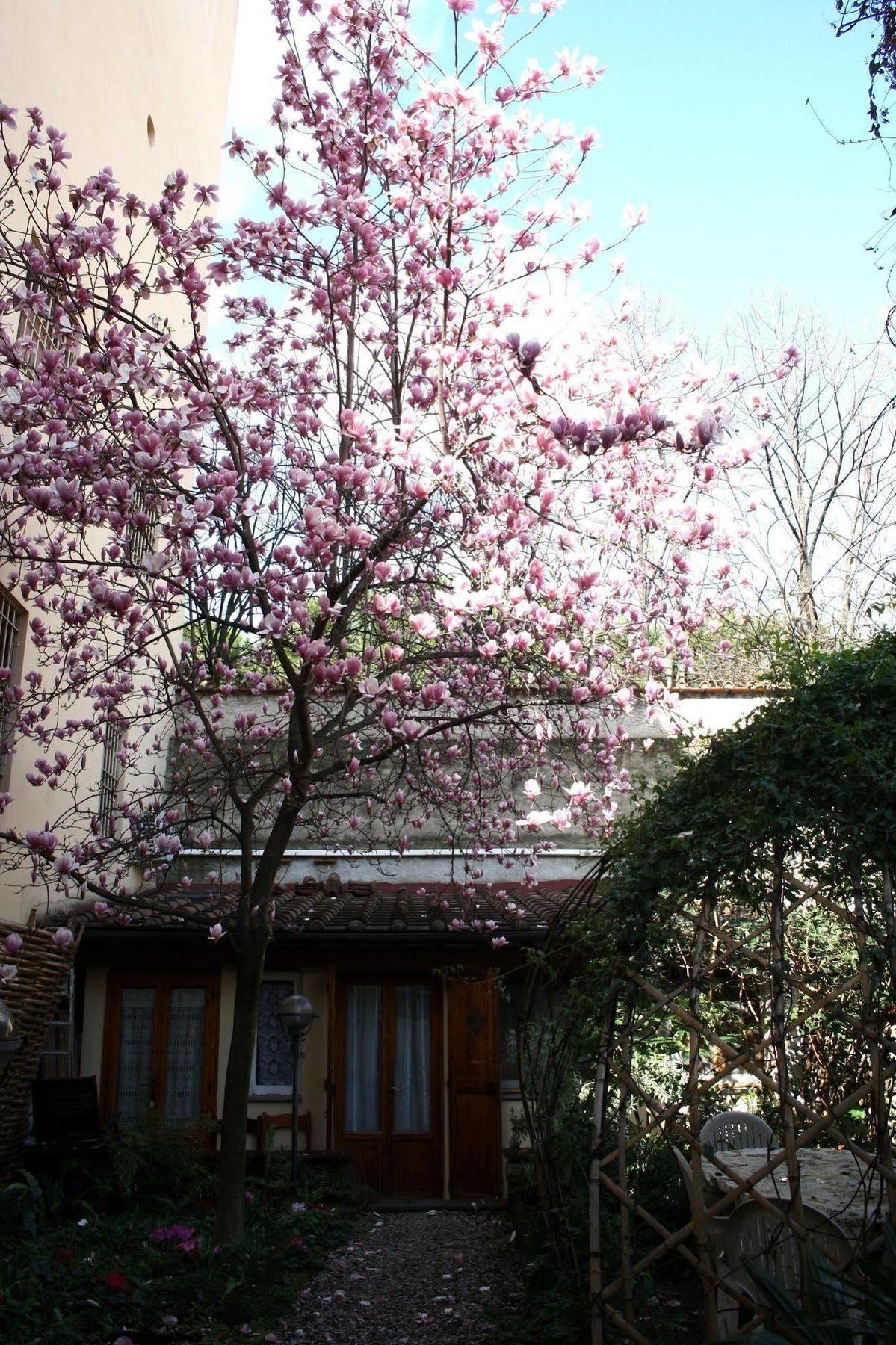 Affittacamere Casa Corsi Florence Ngoại thất bức ảnh